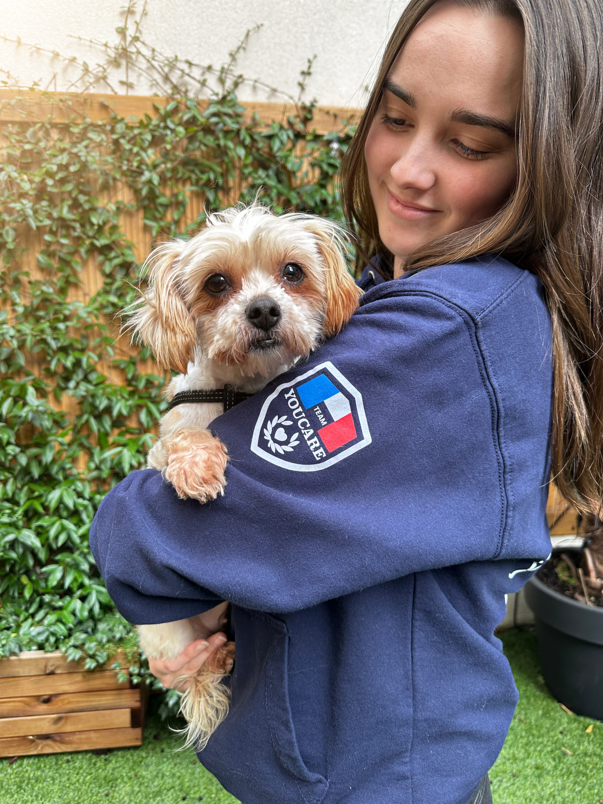 Formation, créer son association de protection animale